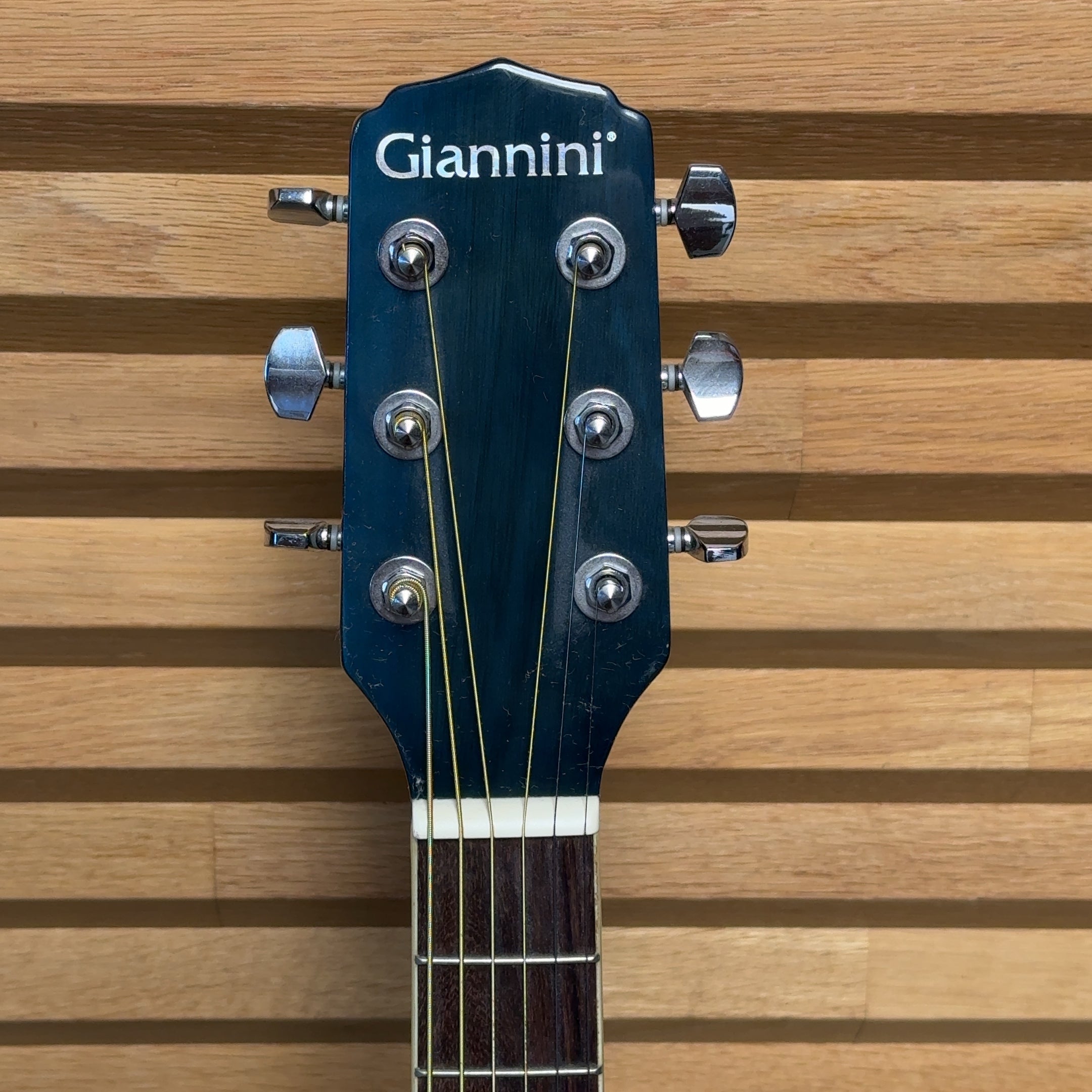 Giannini GS-36 TBL 3/4-Size Acoustic Guitar w/ Linden Top, Rosewood Fingerboard