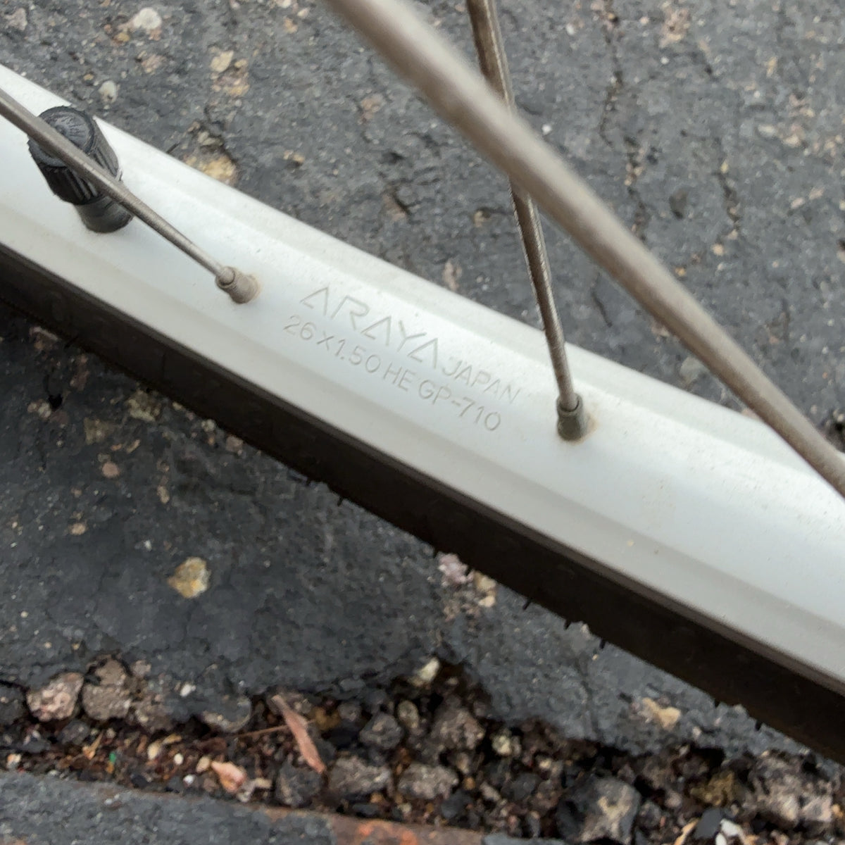 Vintage Specialized Rockhopper 15.5" Alivio Gears, Hubs, Araya Rims Steel