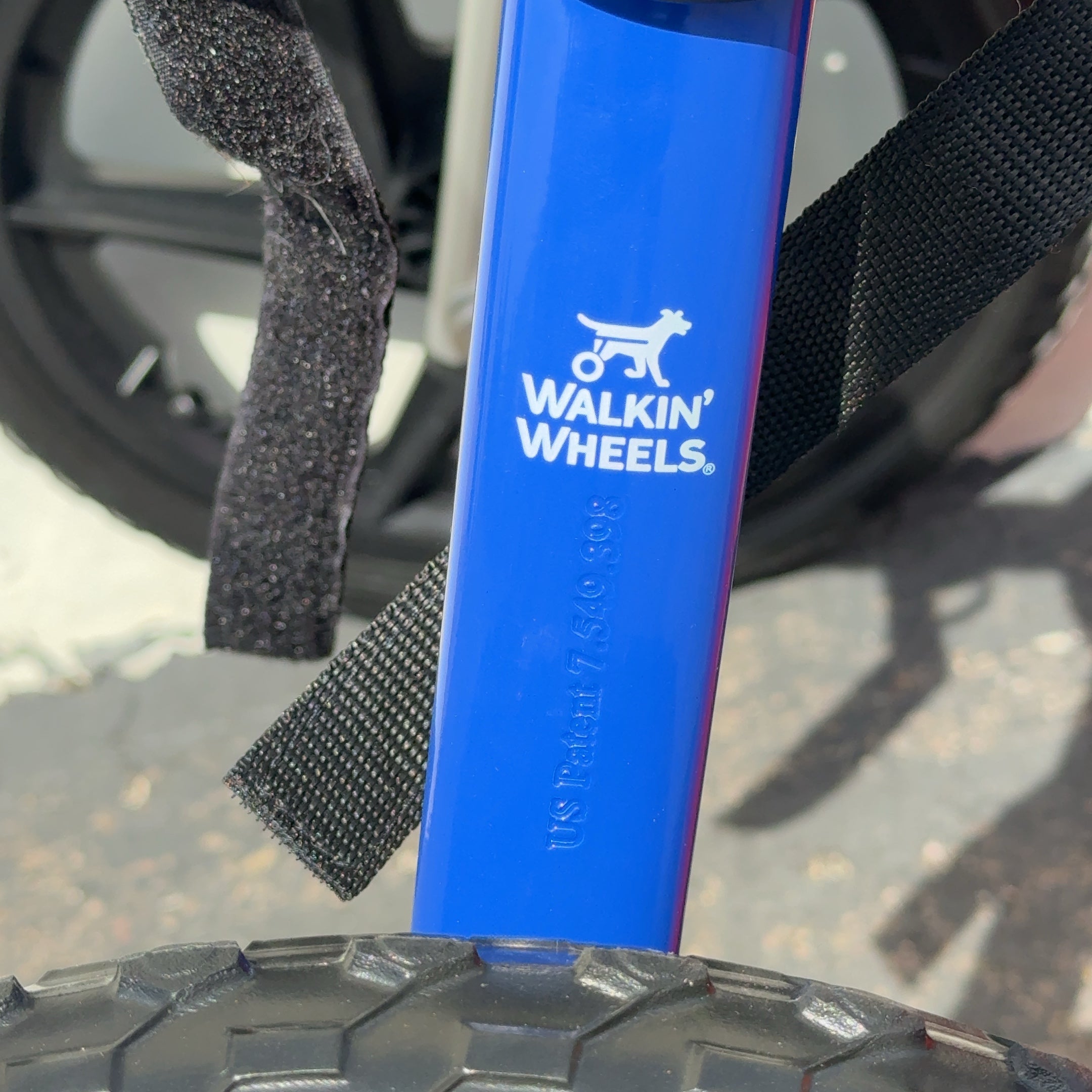 NEW! Walkin' Wheels LARGE Dog Wheelchair