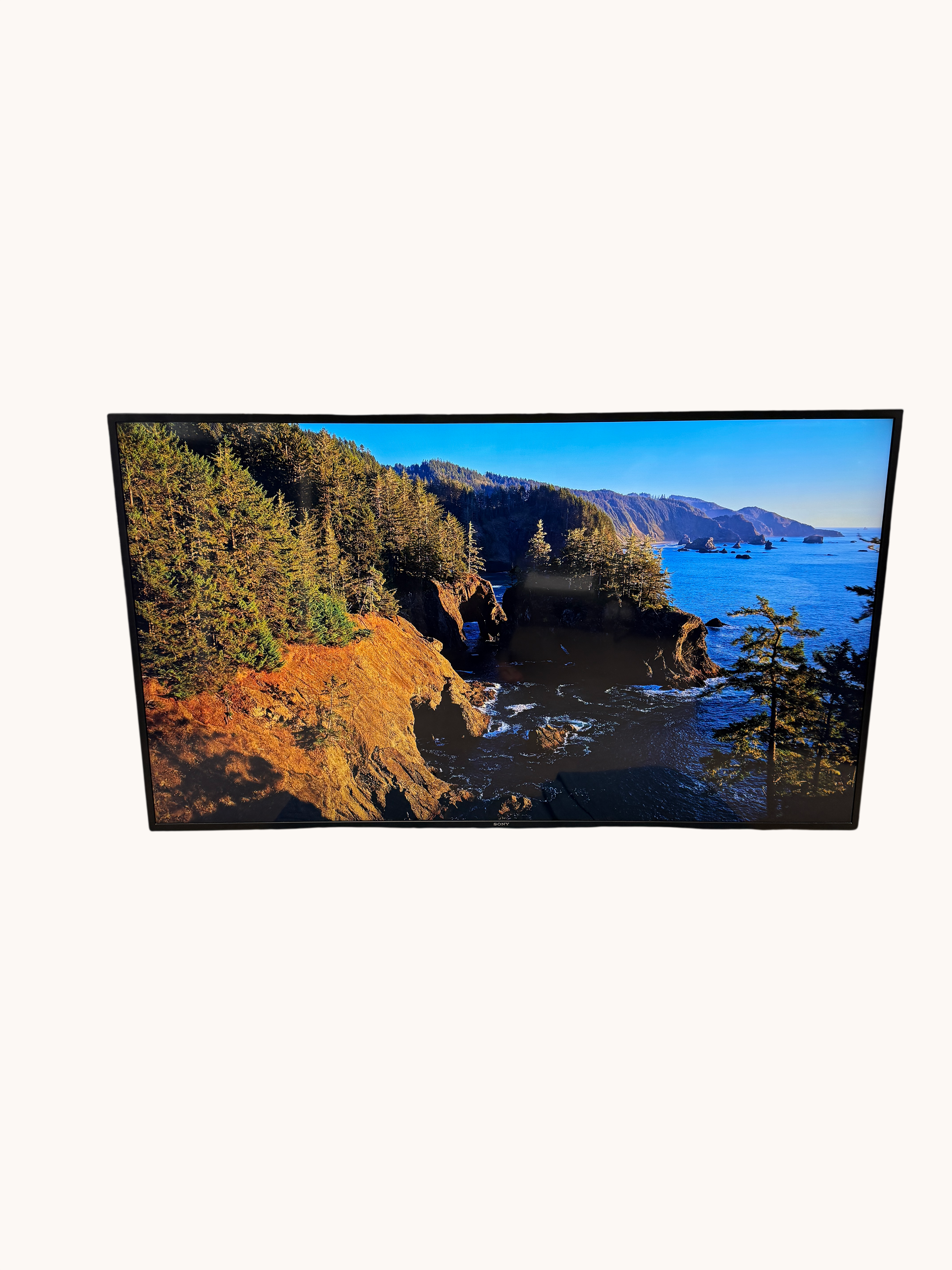 2020 65-inch 4K HDR LED Smart TV featuring Sony’s 4K HDR Processor X1 w/ Triluminos Display